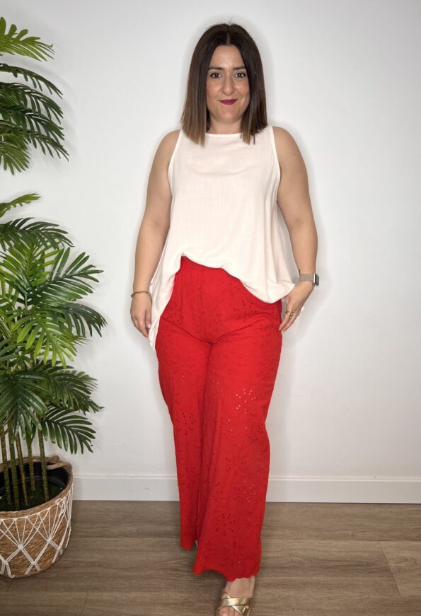IMG 4585