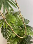 collar flexible moldeable