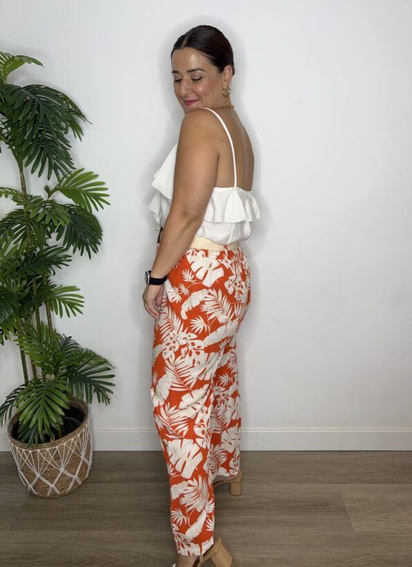 IMG 4492