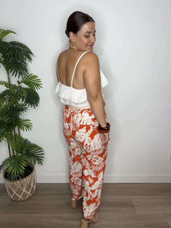 IMG 4507