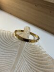 IMG 6591