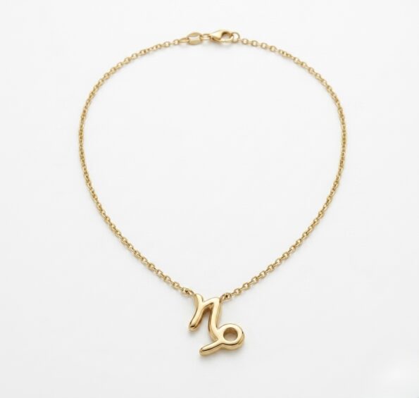 gargantilla collar acero mujer signo zodiaco