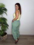 IMG 4737
