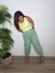IMG 4737